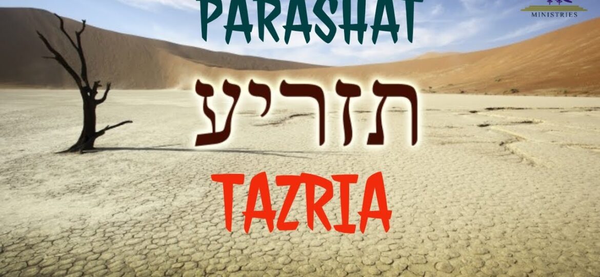 Un minuto de Torá (Tazria Metzora)